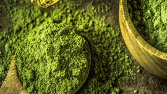 MATCHA LÀ GÌ? TẠI SAO THỨC UỐNG TỪ MATCHA ĐƯỢC ƯA CHUỘNG
